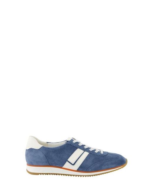 Paul Green Blue Bellevue Sneaker