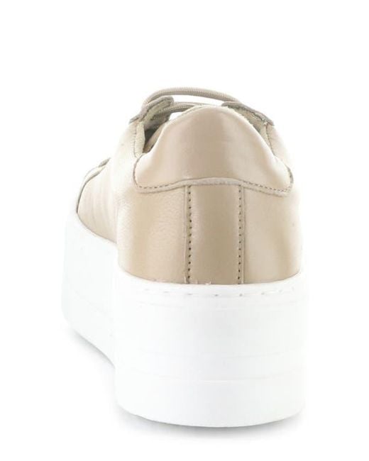 Bos. & Co. White Maya Platform Sneaker