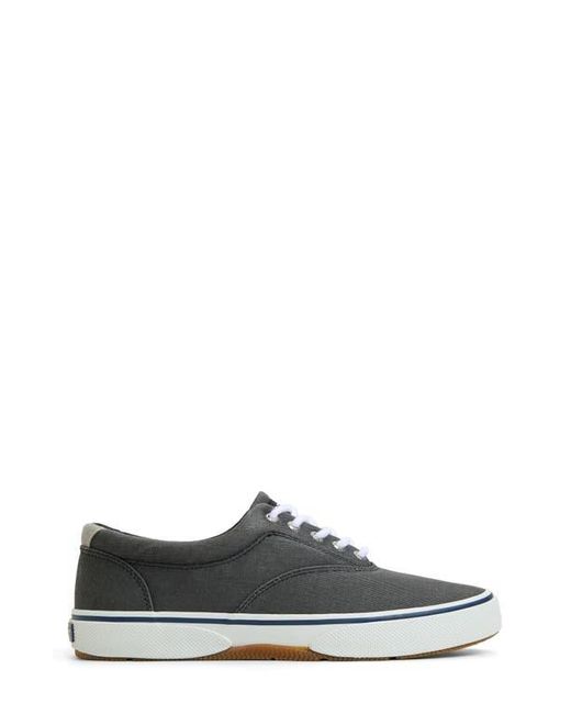 Sperry Top-Sider Black Halyard Cvo Sneaker for men