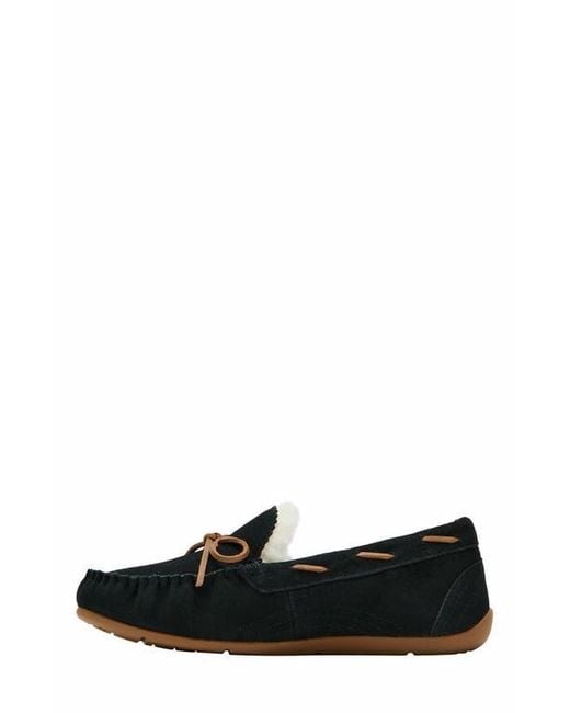 ABEO Black Amble Bow Slipper