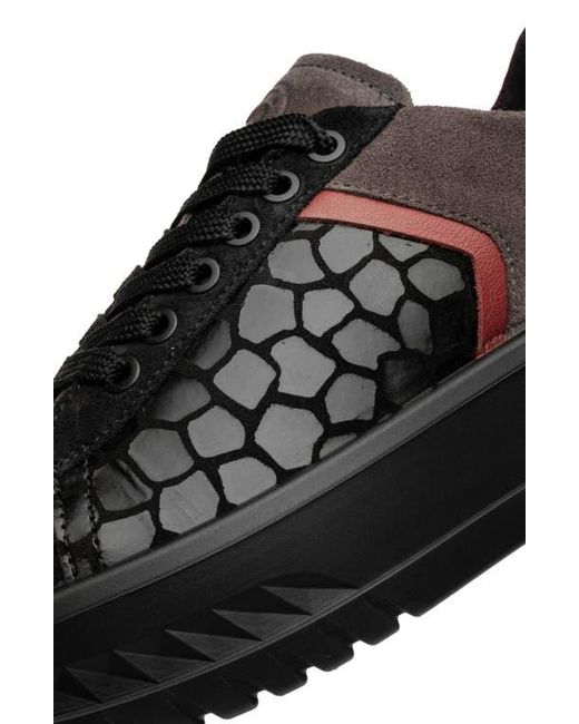 Ara Black Mamba Platform Sneaker
