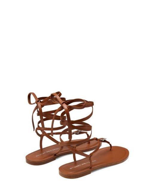 Stuart Weitzman Multicolor Georgie Ankle Wrap Sandal