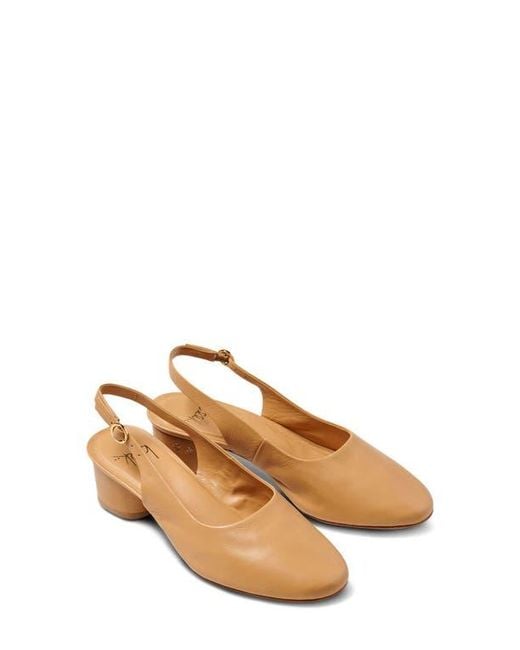 Beek Multicolor Lora Slingback Pump
