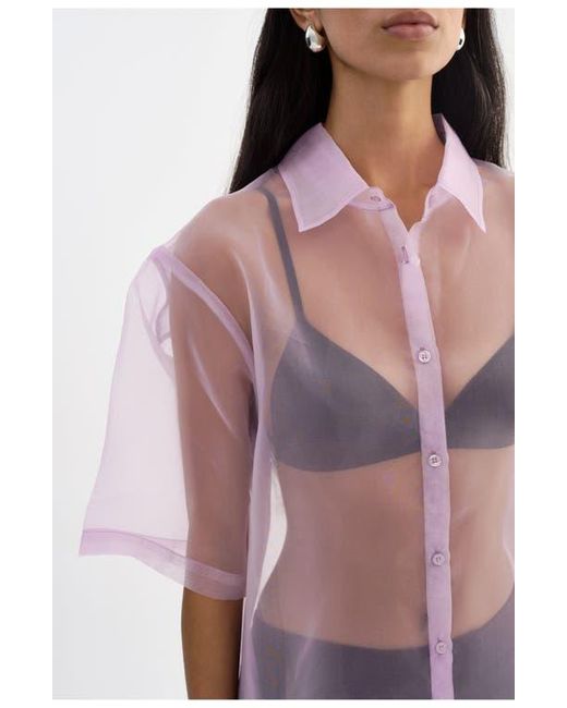 Lamarque Pink Manda