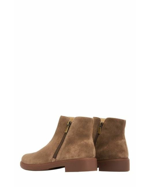 ABEO Brown Compass Zip Boot