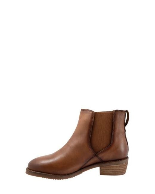 Softwalk® Brown Rana Chelsea Boot