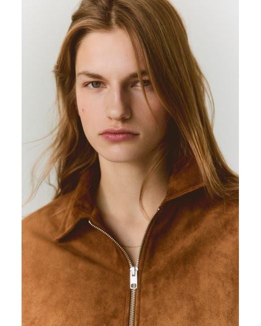 H&M Brown Collared Jacket