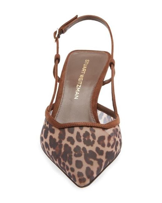 Stuart Weitzman Brown Vinnie Kitten Heel Pump