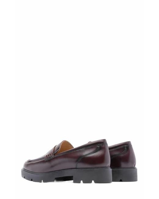 ABEO Brown Boulevard Loafer