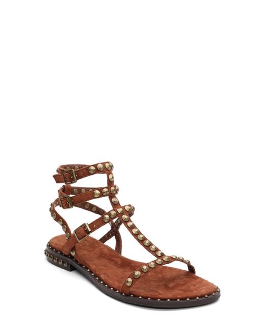 Ash Brown Play 2 Gladiator Sandal