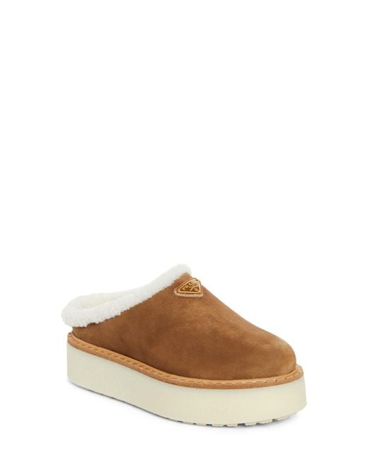 Prada Brown Suede Mules