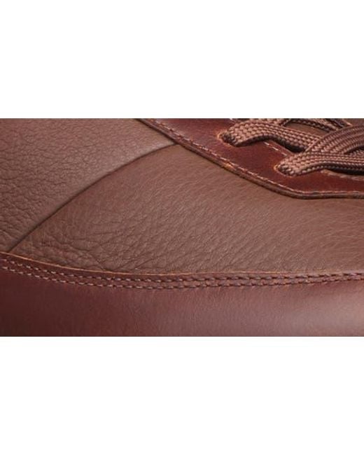 Wolf & Shepherd Brown Baller Sneaker for men