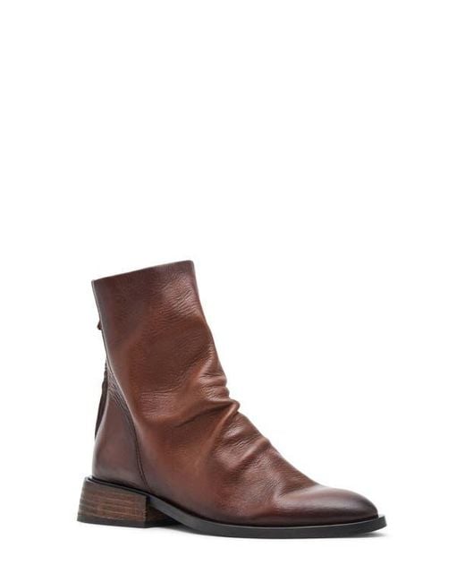 Steve Madden Brown Nexie Bootie