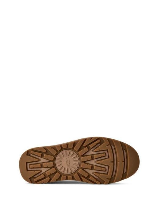 Ugg Brown Idyllwild Lace-Up Boot for men