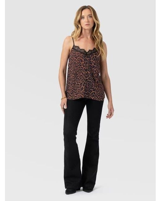 Saint + Sofia Brown Harper Lace Cami