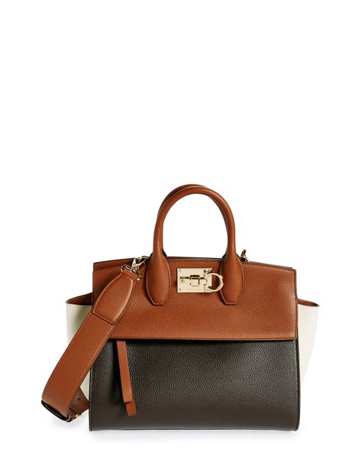 Ferragamo Brown Small Studio Soft Leather Handbag