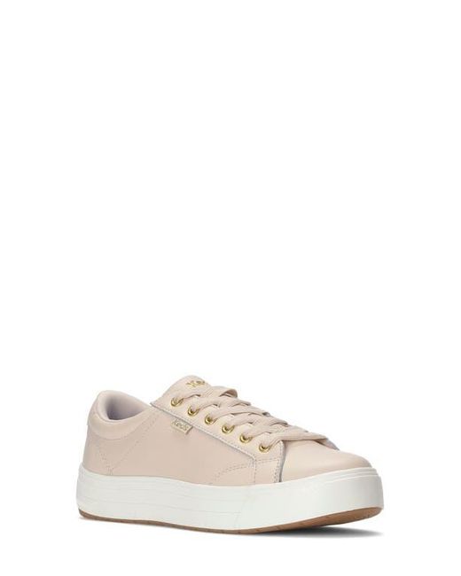 Keds Multicolor Park Platform Sneaker