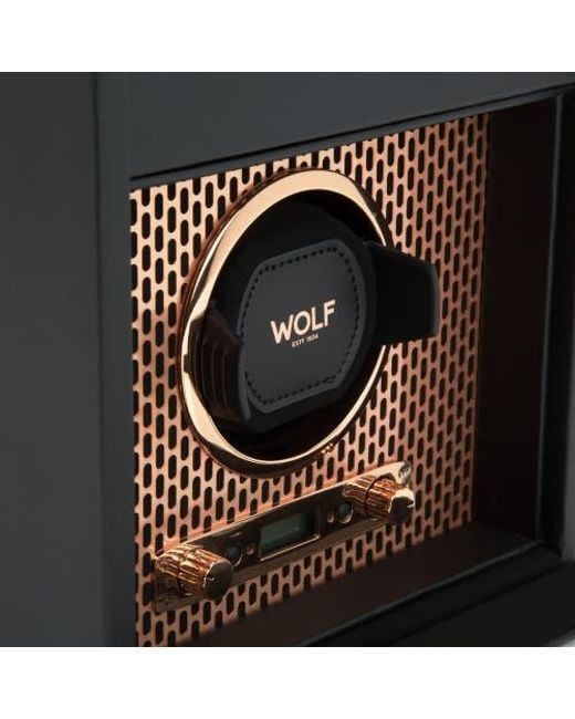 Wolf Metallic Axis Single Watch Winder With Storage for men