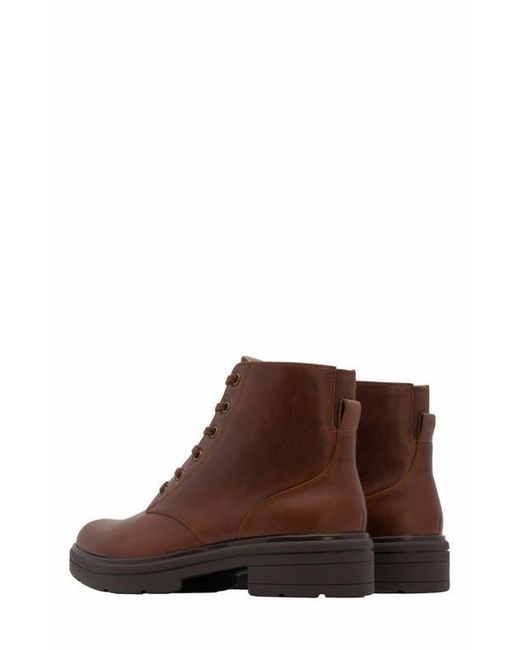 ABEO Brown Vista Lace Boot