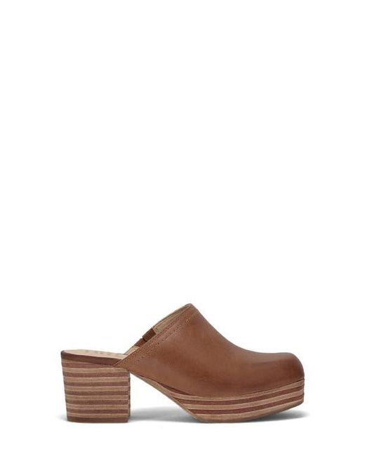 Frye Brown Campus Leather Clog