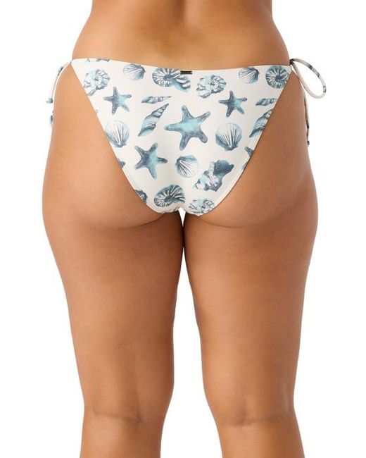 O'neill Sportswear Blue Saltwater Essentials Maracas Side Tie Bikini Bottoms