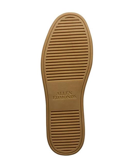 Allen Edmonds Brown Barnes Low Top Sneaker for men