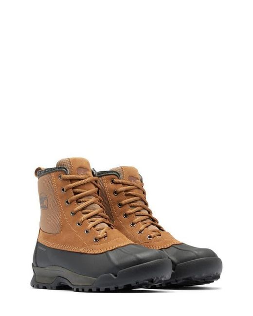 Sorel Brown Buxton Lite Waterproof Boot for men
