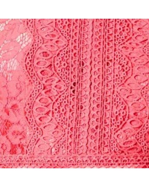 Oasis Red Printed Lace Mix Halterneck Midi Dress