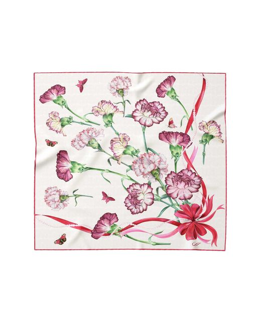 Elizabetta Pink Dianthus