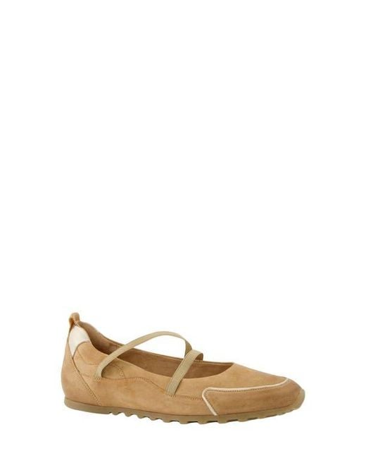 Paul Green Natural Dynamic Flat