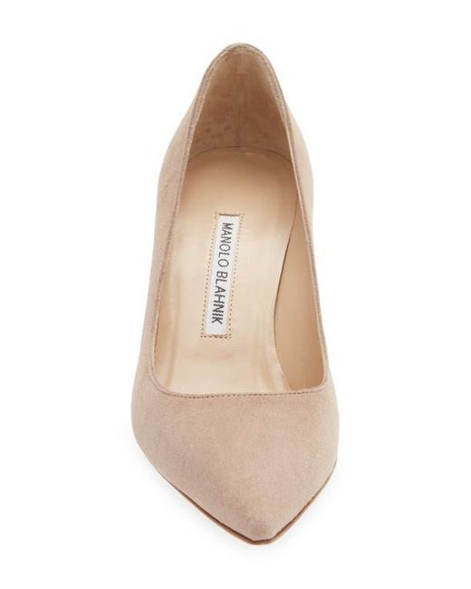 Manolo Blahnik Natural Bb Pointed Toe Pump