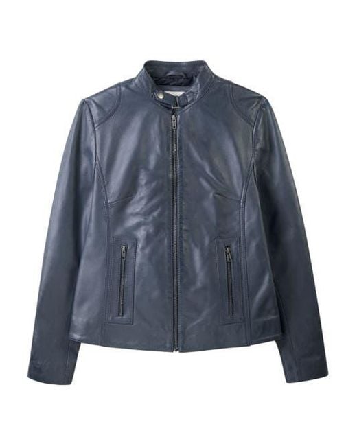 Celtic & Co. Blue Stand Collar Biker Jacket