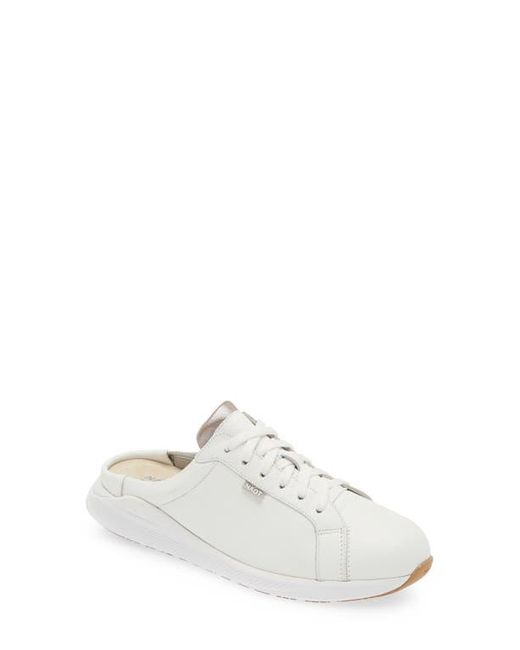 Women's Sneakers Naot Sneakers Naot Women's Okahu Sneaker