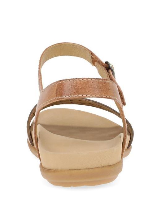 Dansko Brown Jodie Ankle Strap Sandal