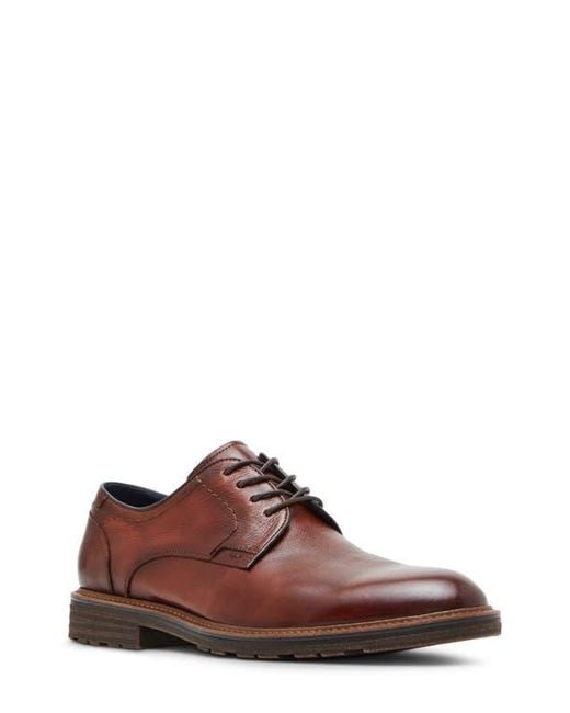 Steve Madden Brown Aeden Derby for men