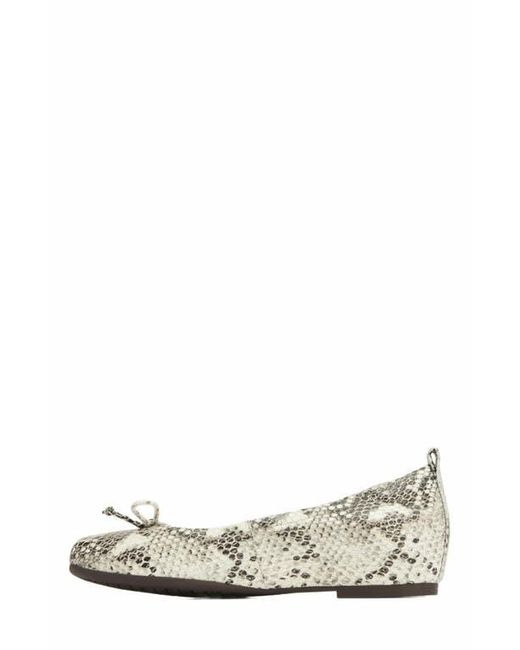 ABEO White Cadence Bow Ballet Flat