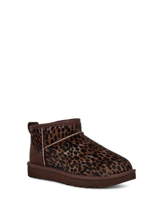 Ugg Brown Classic Mini Caspian Boots