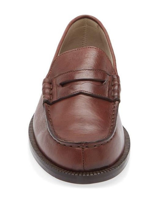 Common Projects Brown Soft Penny Loafer