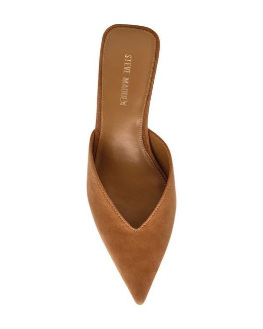 Steve Madden Brown Mod Pointed Toe Mule Pump