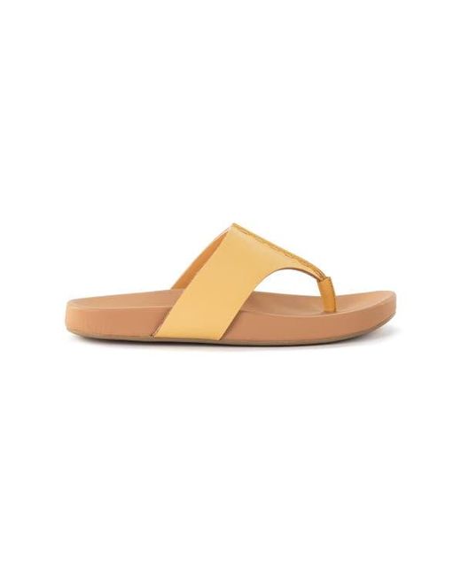 The Sak Multicolor Everly Sandal
