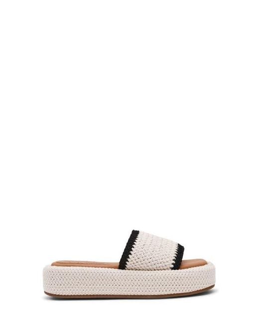 Steve Madden Multicolor Beachy Platform Sandal