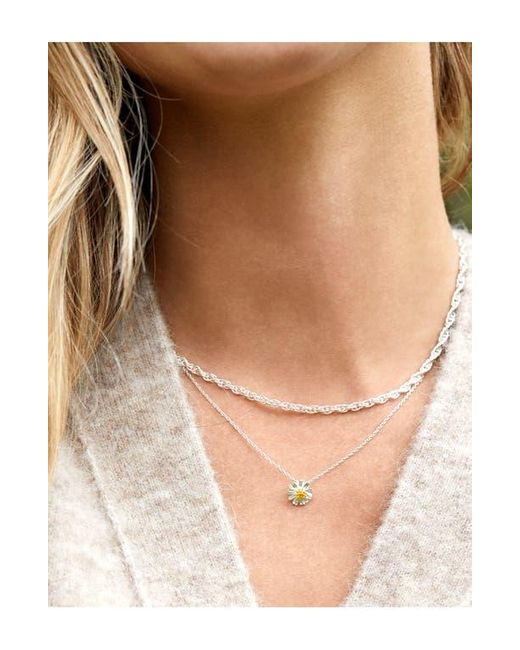 Estella Bartlett White Wildflower Necklace