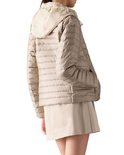 Moose Knuckles Brown Cloud Walker 800 Fill Power Down Jacket