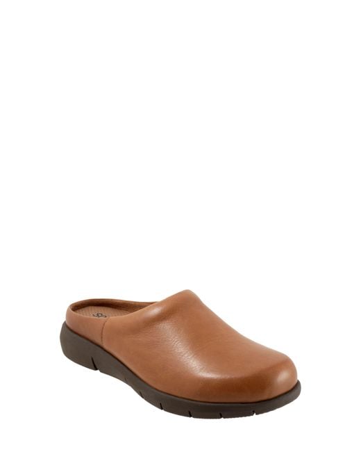 Softwalk® Brown Andria Mule