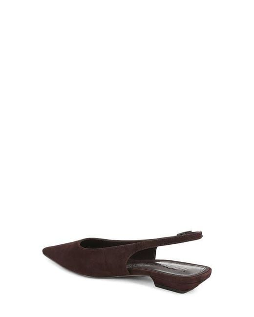 Sam Edelman Brown Netty Slingback Pointed Toe Flat