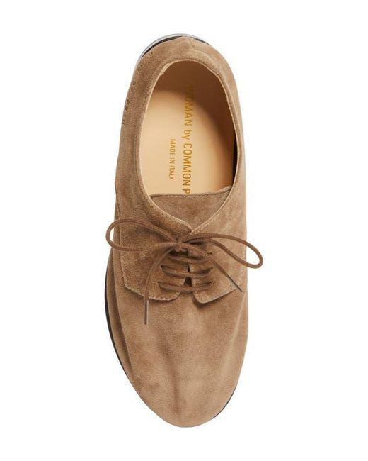 Common Projects Brown Soft Plain Toe Derby