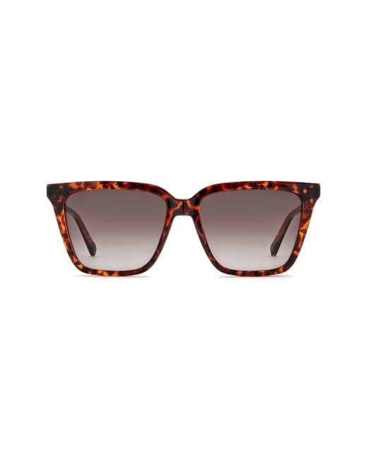 Fossil Brown 56Mm Square Sunglasses