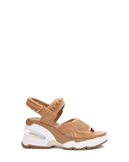 Ash Brown Diva Slingback Platform Sandal