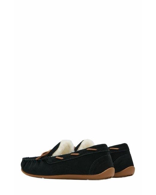 ABEO Black Amble Bow Slipper