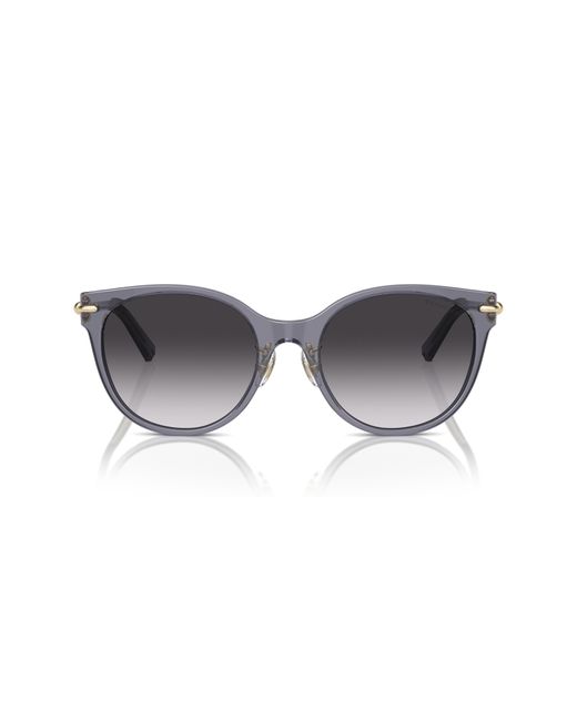 Tiffany & Co Gray 54mm Gradient Cat Eye Sunglasses